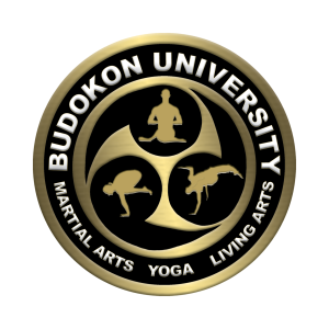 Budokon-University-logo
